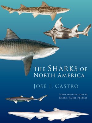 cover image of The Sharks of North America